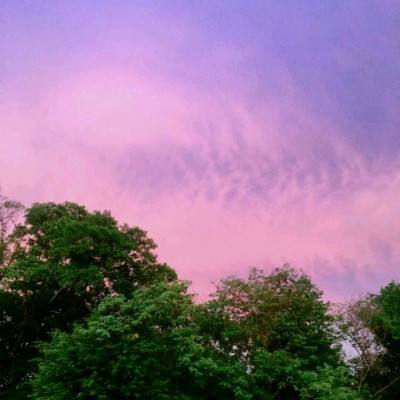 澳客APP下载官网手机app下载