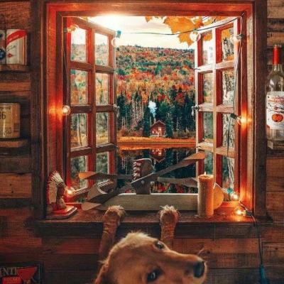 金博宝官网手机app下载