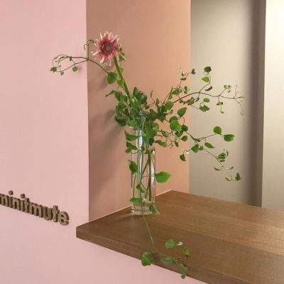 华体育会app官方下载