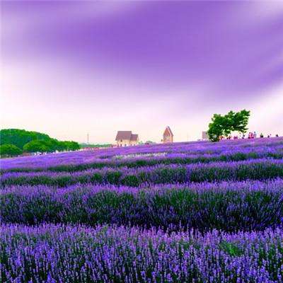 买球的app排行榜前十名推荐下载手机版